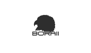 Larry Oliver Voice Over Boraii Logo